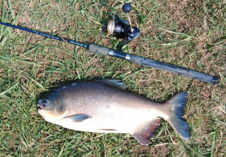 午後からのんびりと浜名湖フィッシングリゾートへ